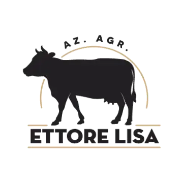Ettore Lisa